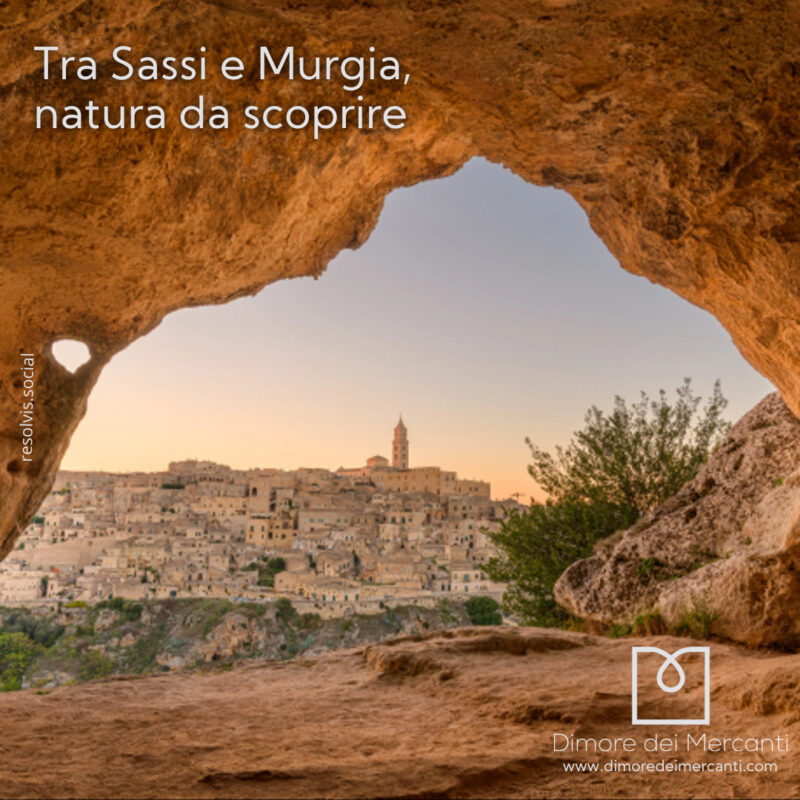 murgia
